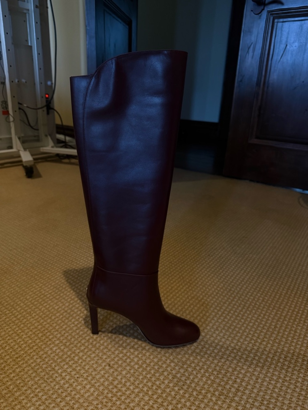 Jimmy Choo Tall Leather Over-the-Knee Boots in Dark Burgundy